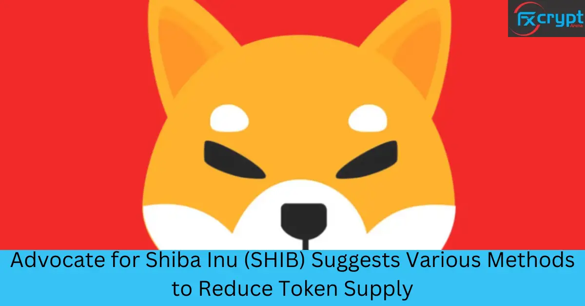 Advocate for Shiba Inu (SHIB) Suggests Various Methods to Reduce Token Supply