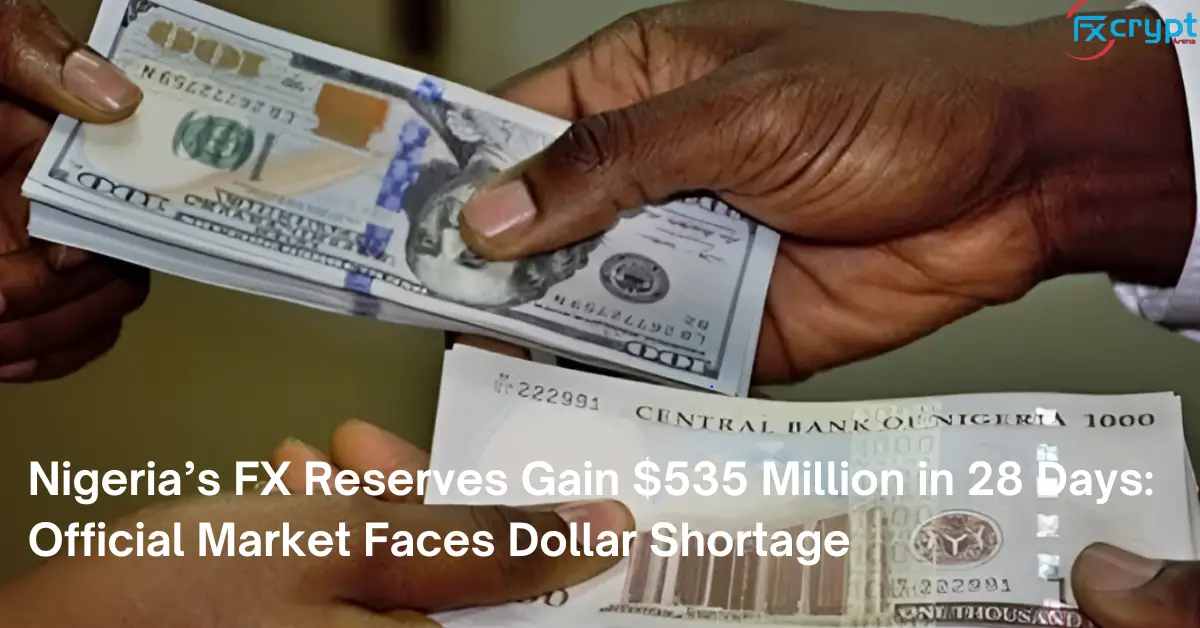 Nigeria’s FX Reserves Gain $535 Million in 28 Days: Official Market Faces Dollar Shortage