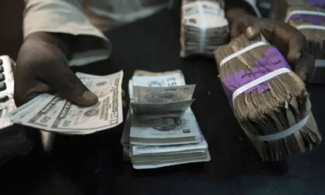 CBN Intervenes to Support Naira with Retail Dollar Auction